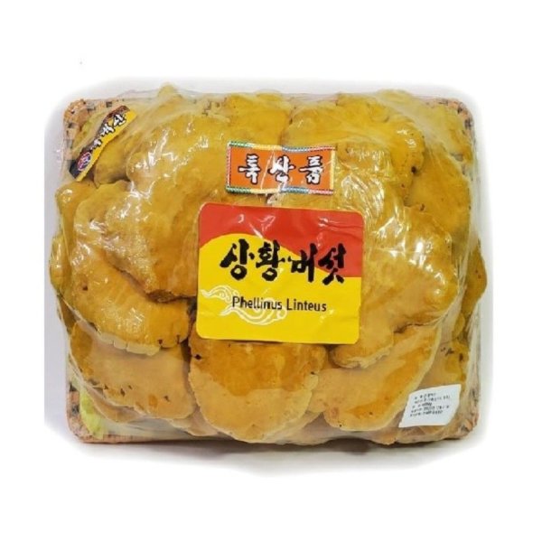 Nấm Thượng hoàng Hàn Quốc Phellines 500g (tai to)